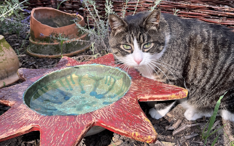 Keramikobjekte in einem grünen Garten